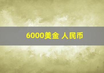 6000美金 人民币